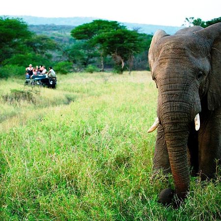 Thula Thula Exclusive Private Game Reserve & Lodge Ntambanana Esterno foto