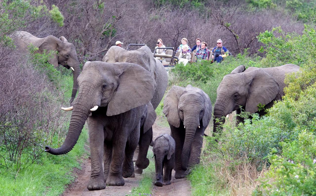 Thula Thula Exclusive Private Game Reserve & Lodge Ntambanana Esterno foto