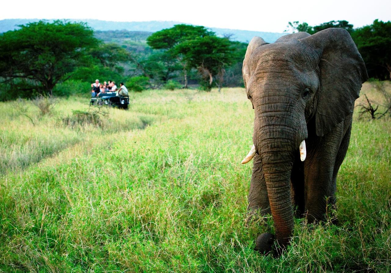 Thula Thula Exclusive Private Game Reserve & Lodge Ntambanana Esterno foto