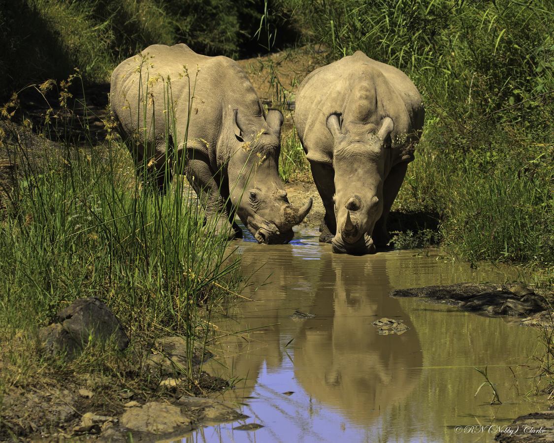 Thula Thula Exclusive Private Game Reserve & Lodge Ntambanana Esterno foto