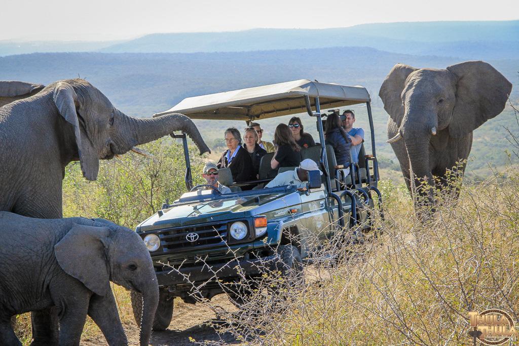 Thula Thula Exclusive Private Game Reserve & Lodge Ntambanana Esterno foto