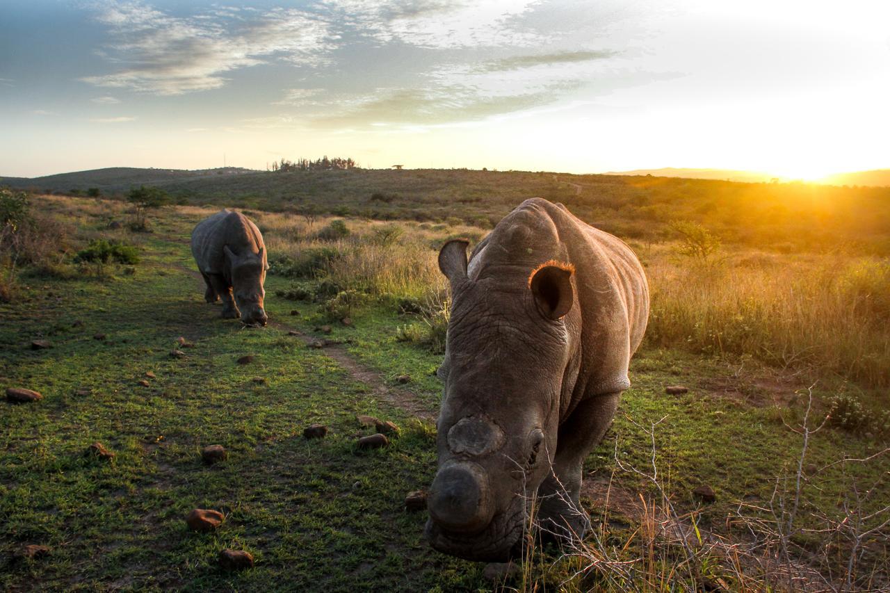 Thula Thula Exclusive Private Game Reserve & Lodge Ntambanana Esterno foto