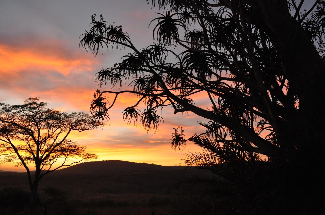 Thula Thula Exclusive Private Game Reserve & Lodge Ntambanana Esterno foto