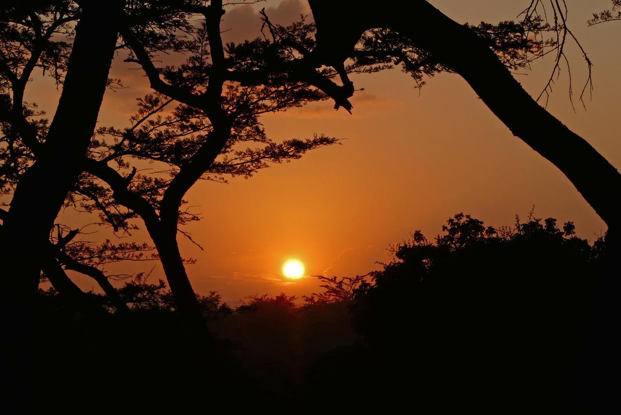 Thula Thula Exclusive Private Game Reserve & Lodge Ntambanana Esterno foto